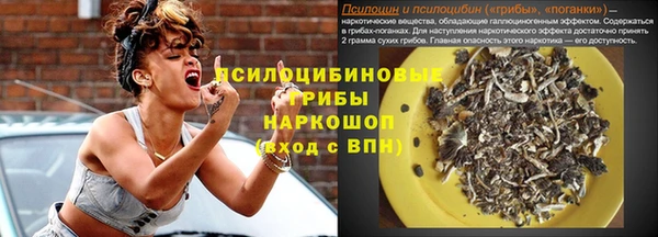 стафф Алексеевка
