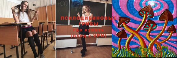 дурь Алзамай