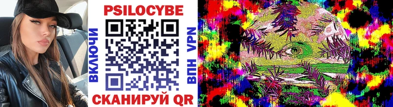 где купить   Нолинск  Псилоцибиновые грибы ЛСД 